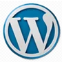 website development in pune